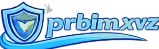 prblm.logo